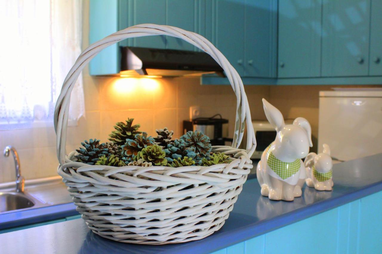 Tzaneria Apartments Skiathos Kanapitsa  Extérieur photo