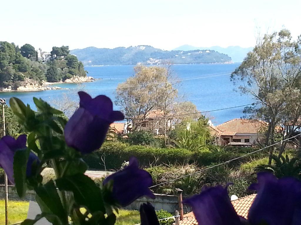 Tzaneria Apartments Skiathos Kanapitsa  Extérieur photo