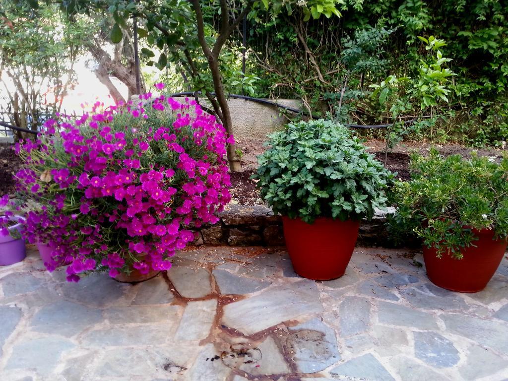 Tzaneria Apartments Skiathos Kanapitsa  Extérieur photo